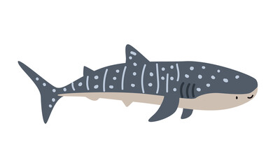 Whale shark cartoon clipart. Cute whale shark (Rhincodon typus) vector illustration. Animal in flat style. Sea animals concept isolated on white background © Vinh