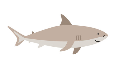 Bull shark cartoon clipart. Cute bull shark (Carcharhinus leucas) vector illustration. Animal in flat style. Sea animals concept isolated on white background