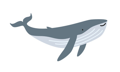 Humpback whale (Megaptera novaeangliae) cartoon clipart. Cute humpback whale vector illustration. Animal in flat style. Sea animals concept isolated on white background © Vinh