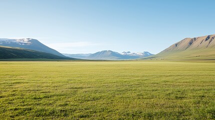 Vast Green Grassland Landscape with Distant Mountains under a Clear Sunny Sky
