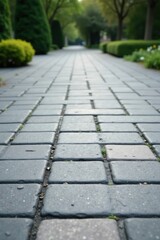 A Serene Pathway Through a Lush, Verdant Park, Displaying a Detailed View of Interlocking Stone Pavers