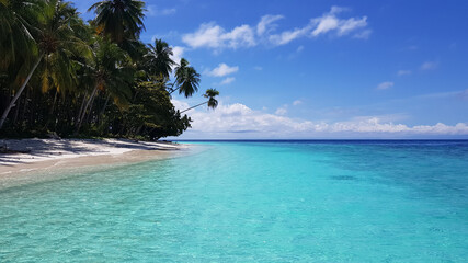 beach with blue water sea and white sand look tropical vibes. Tropical beach with coconut tree and blue sky. beach on beautiful island