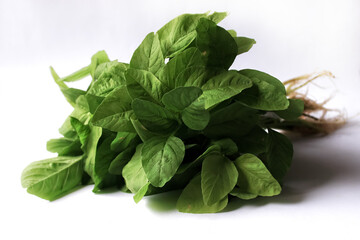 spinach isolated on white. spinach have green leaves. spinach is healthy food