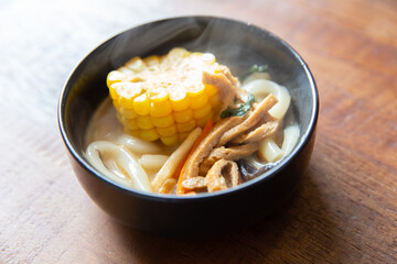 Small Japanese Udon Noodle Pot