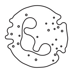 neutrophil degranulating line icon