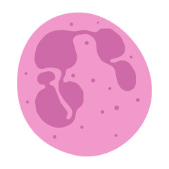 neutrophil hypersegmented colored icon