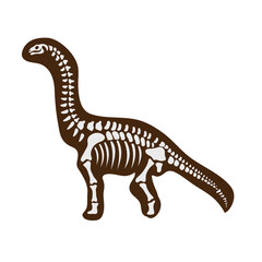 dinosaur fossil isolated on white © DamarCanvas