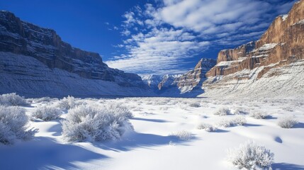 Majestic winter landscape of a snow covered canyon with clear blue sky and white clouds creating a serene and cold atmosphere for travel
