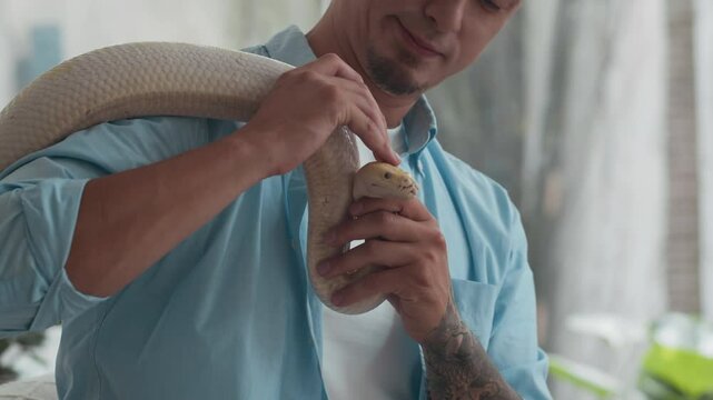 Tilt down shot of caring multicultural male owner petting skin of big albino python while spending time at home