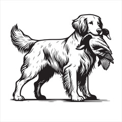 vector Labrador retriever/ Brittany Spaniel dog standing and holding a duck in its mouth