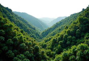 Fototapeta premium Lush Green Valley with Rolling Hills and transparent background