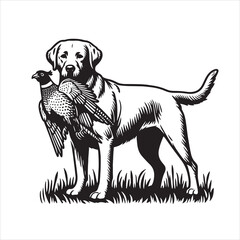 vector  hunting labrador retriever/ Brittany Spaniel dog standing and holding a duck in its mouth