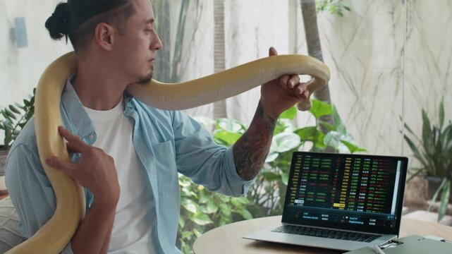 Medium shot of attentive multicultural man interacting with albino pet snake while analyzing data on wireless laptop at home desk