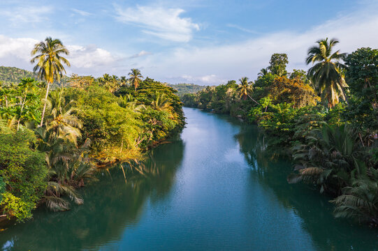 Aerial view of Loboc river through the tropical jungle, Bohol, Philippines