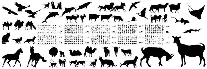 Obraz premium animal silhouette set collection png design nature