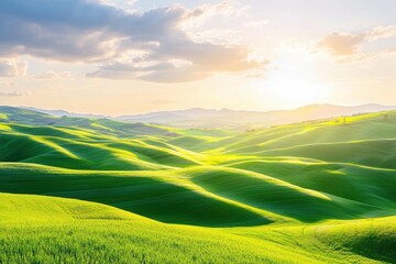 Vibrant Green Rolling Hills Under Bright Sky at Sunset