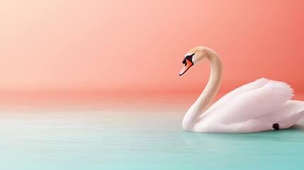 Obraz premium A serene swan gracefully glides across tranquil waters, with soft pastel colors in the background creating a peaceful atmosphere.