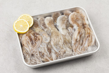 Octopus is a mollusk of the octopus family. It is similar to an octopus, but its body is about 20 to 30 cm long, short and round.