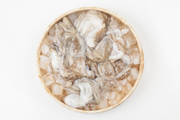 Octopus is a mollusk of the octopus family. It is similar to an octopus, but its body is about 20 to 30 cm long, short and round.