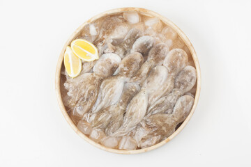 Octopus is a mollusk of the octopus family. It is similar to an octopus, but its body is about 20 to 30 cm long, short and round.