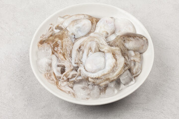 Octopus is a mollusk of the octopus family. It is similar to an octopus, but its body is about 20 to 30 cm long, short and round.