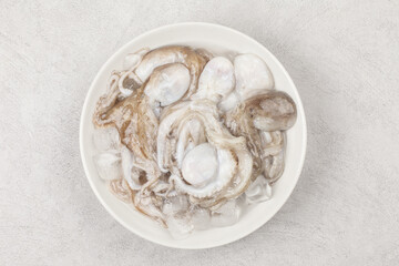 Octopus is a mollusk of the octopus family. It is similar to an octopus, but its body is about 20 to 30 cm long, short and round.