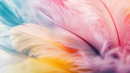 Obraz premium Colorful feathers swirling softly on seamless gradient background