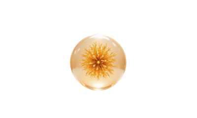 Golden spiky flower in transparent orb on light peach background