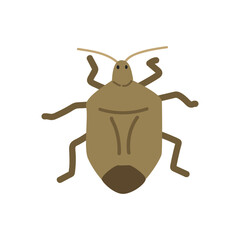 Stink bug cartoon clipart. Cute Asopinae stink bug vector illustration. Animal in flat style. Insects and anthropods concept isolated on white background