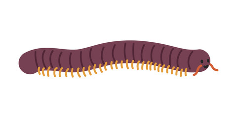 Millipede cartoon clipart. Cute millipede (Diplopoda) vector illustration. Animal in flat style. Insects and anthropods concept isolated on white background