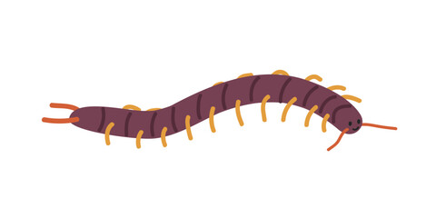 Centipede cartoon clipart. Cute centipede (Chilopoda) vector illustration. Animal in flat style. Insects and anthropods concept isolated on white background