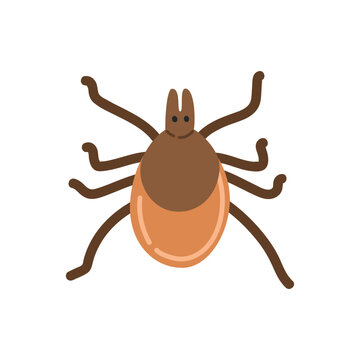 brown tick insect isolated white background clip art preview