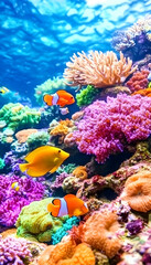 Coral Reef Aquarium Scene