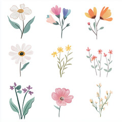 flower, pink, nature, leaf, floral, plant, flowers, spring, tulip, blossom, vector, illustration, bouquet, design, beauty, purple, summer, lily, stem, petal, flora, garden, decoration, bloom, art