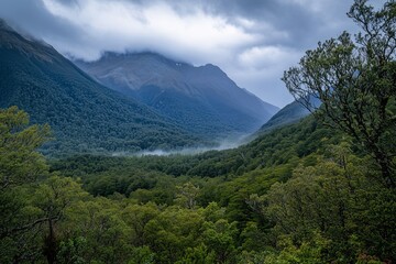 Fototapeta premium Beautiful mountain peaks, clouds and mist emerge from the mountains, the air is fresh