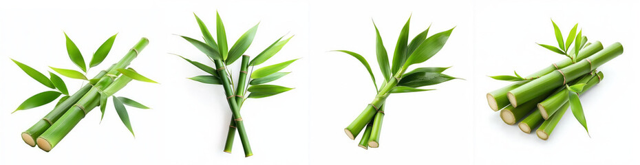 Fototapeta premium Green bamboo with leaves isolated on white background, showcasing its natural beauty and versatility