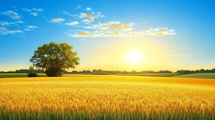 Golden wheat field under radiant sunrise offering tranquility and agricultural richness a captivating rural scene of nature's bounty