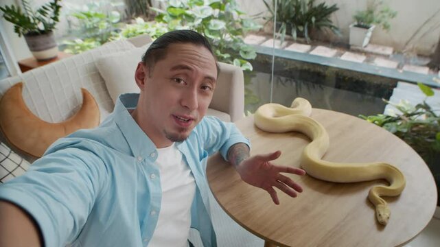 POV shot of young adult multi-ethnic man talking on camera about albino python pet snake resting at table at home