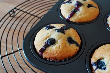 自宅で手作りした焼きたてのブルーベリーマフィン