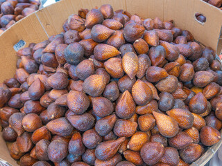 Fresh, organic, exotic, tropical fruit Salak aka Snake Fruit collected in a basket, harvested from local farms sold at a local Asian street market in Indonesia 