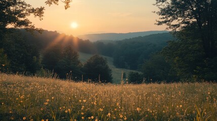 Golden hour sunset over a valley with lush green hills and a field of wildflowers.