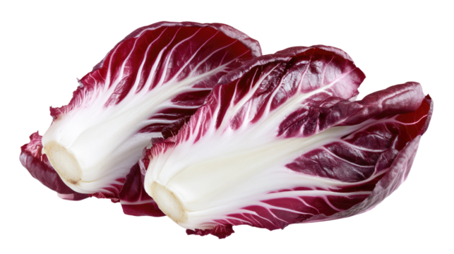 Radiant Radicchio: A close-up shot of two vibrant radicchio heads, showcasing their deep maroon and crisp white leaves, fresh from the market
