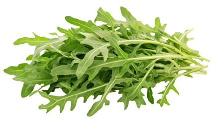 Aromatic Arugula: A vibrant, fresh bunch of arugula, its leaves a rich green, ready to add a peppery zest to any culinary creation.