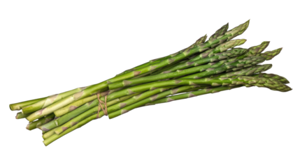 Fresh Asparagus Bundle: A bunch of vibrant green asparagus spears, tightly bound with twine, ready for cooking or consumption. The spears showcase their tender tips and rich green color.