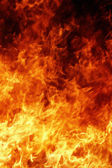 Fototapeta premium Fire on a black background