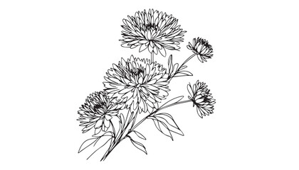 Continuous one single minimal line drawing Carnation