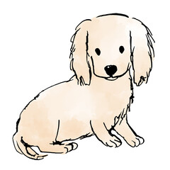 犬のイラスト　ゴールデンレトリーバーの子犬