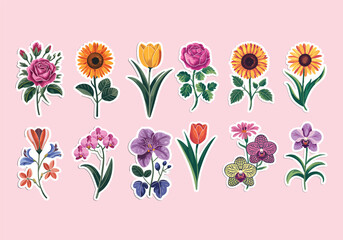Floral Vector Set: Assorted Flowers Download Beautiful Flower Graphics for Your Designs