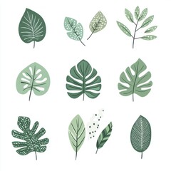 Obraz premium A collection of hand-drawn botanical leaf illustrations in various green shades, featuring tropical and decorative foliage elements on a white background.