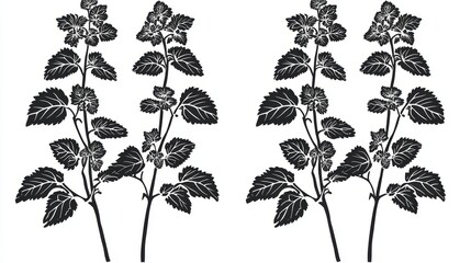 Black silhouettes of oregano sprigs set against a white background, commonly used in cooking